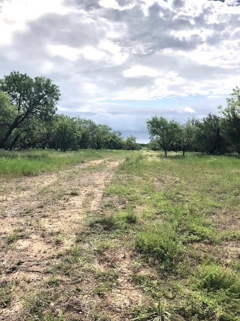 176 Fm 601 Property Photo 5