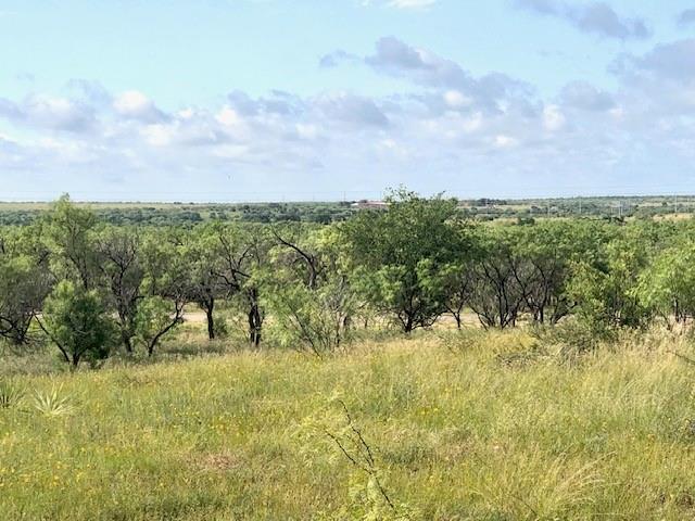 176 Fm 601 Property Photo 7