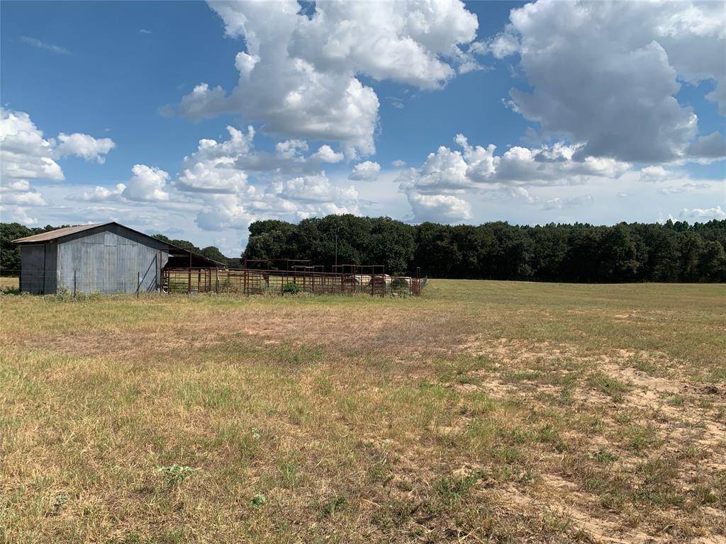 6545 County Road 3310 Property Photo