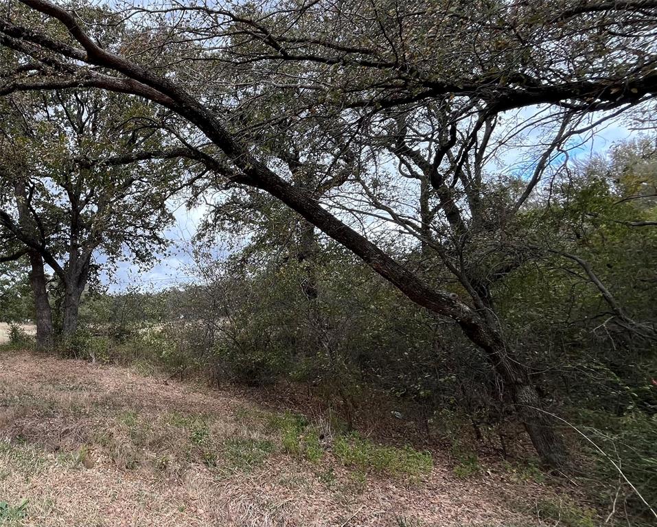 6328 Fm 2738 Property Photo 4