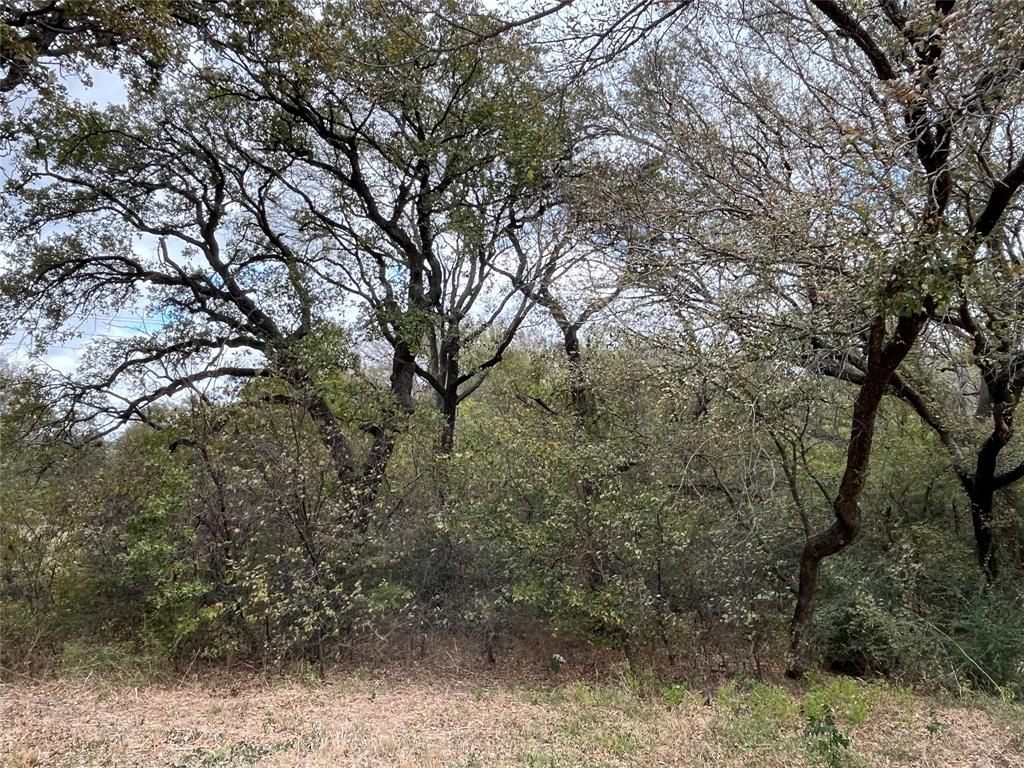 6328 Fm 2738 Property Photo 5