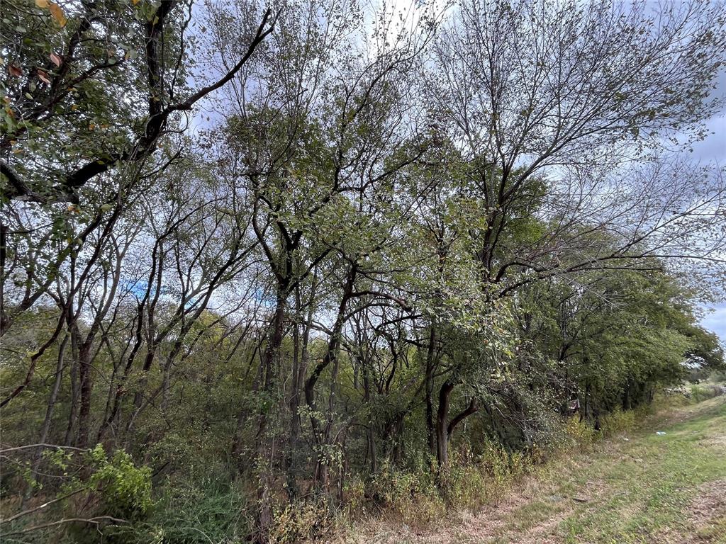 6328 Fm 2738 Property Photo 7