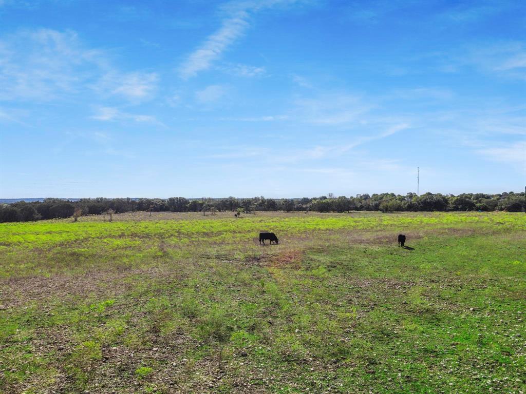 110 Tiffany Court Property Photo 2