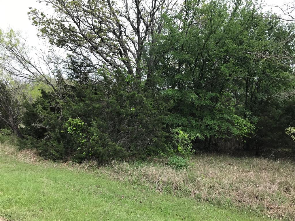 31037 Doe Run Court Property Photo 1