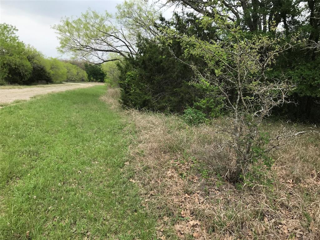 31037 Doe Run Court Property Photo 2