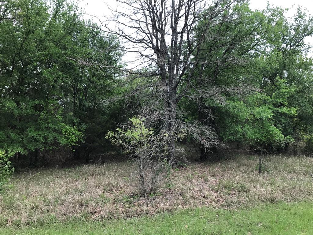 31037 Doe Run Court Property Photo 3
