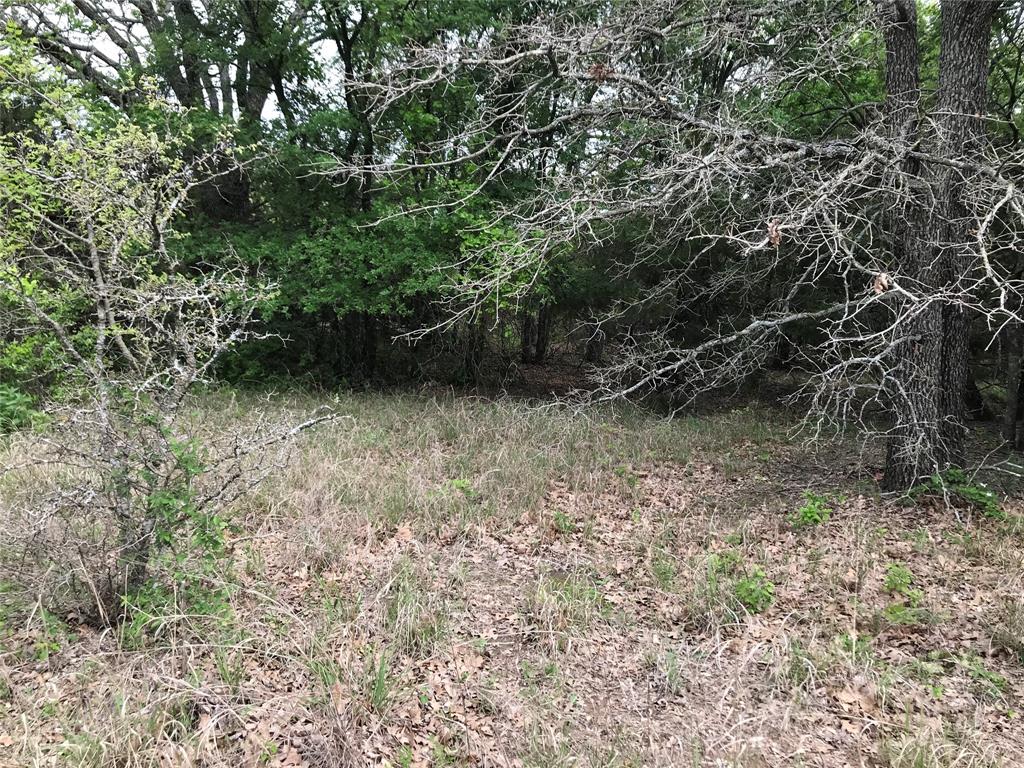 31037 Doe Run Court Property Photo 4