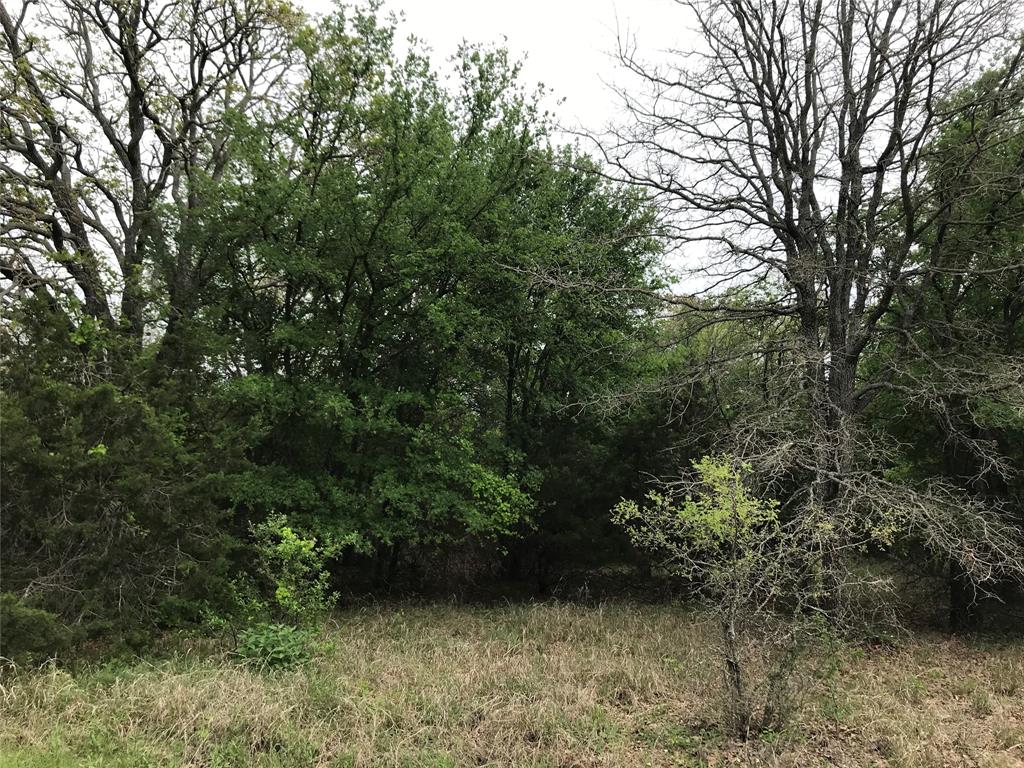 31037 Doe Run Court Property Photo 5