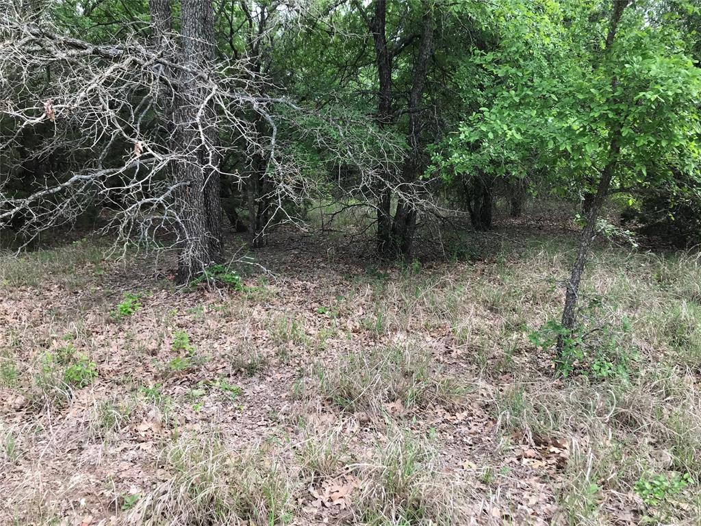 31037 Doe Run Court Property Photo 6