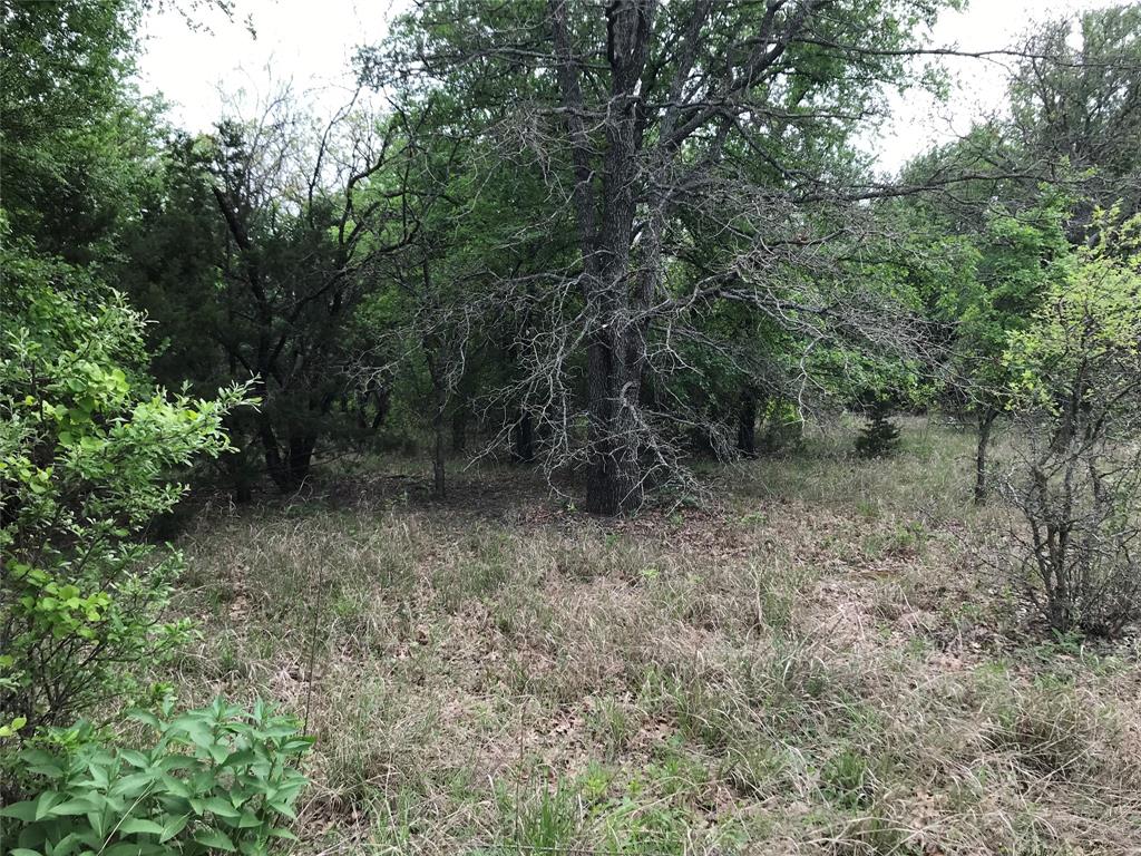 31037 Doe Run Court Property Photo 7