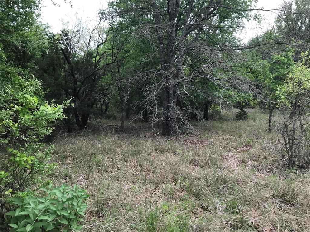 31037 Doe Run Court Property Photo 8