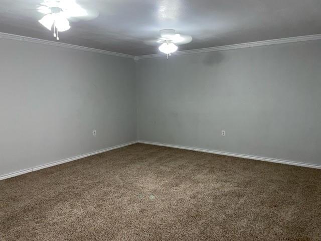 3370 Fm 3113 Property Photo 8