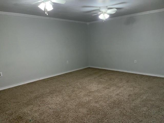 3370 Fm 3113 Property Photo 24