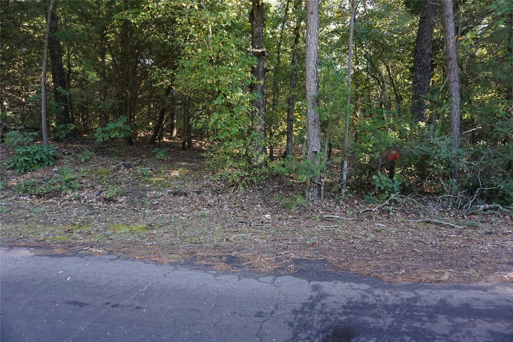 Tbd County Road 3847 Property Photo 5