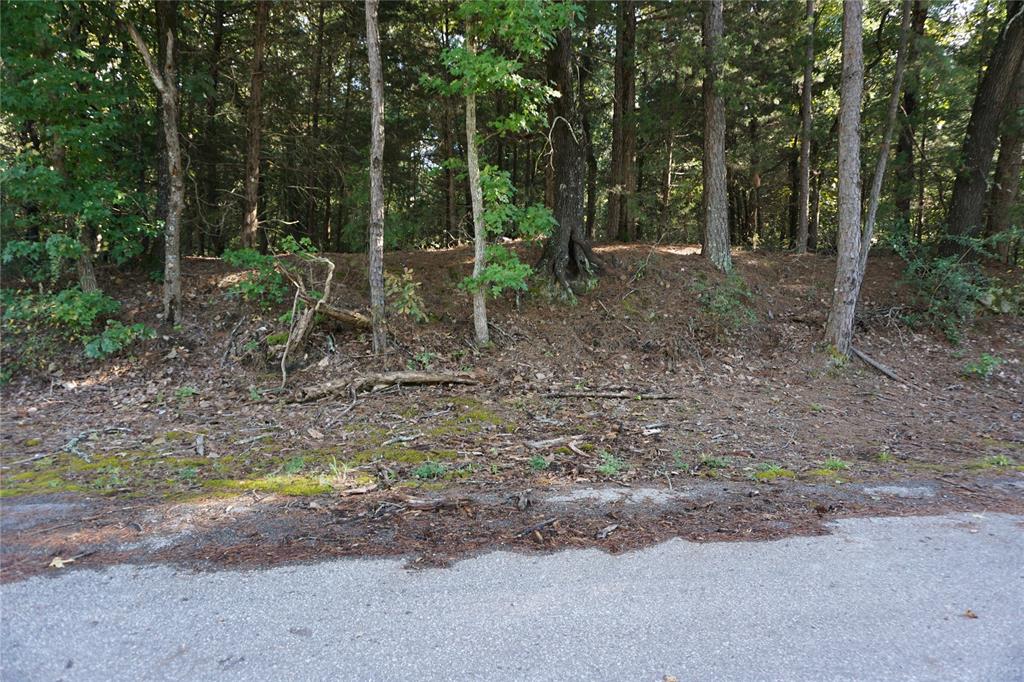 Tbd County Road 3847 Property Photo 6