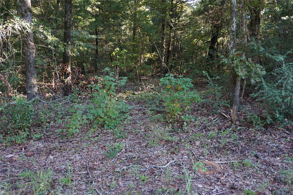 Tbd County Road 3847 Property Photo 7