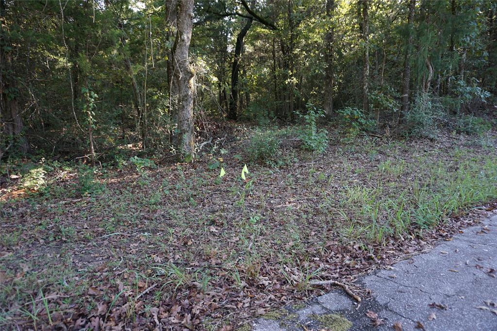 Tbd County Road 3847 Property Photo 8