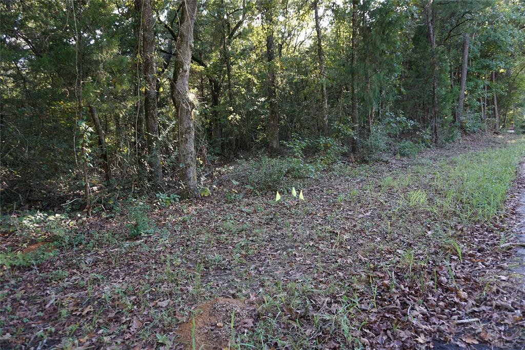 Tbd County Road 3847 Property Photo 9
