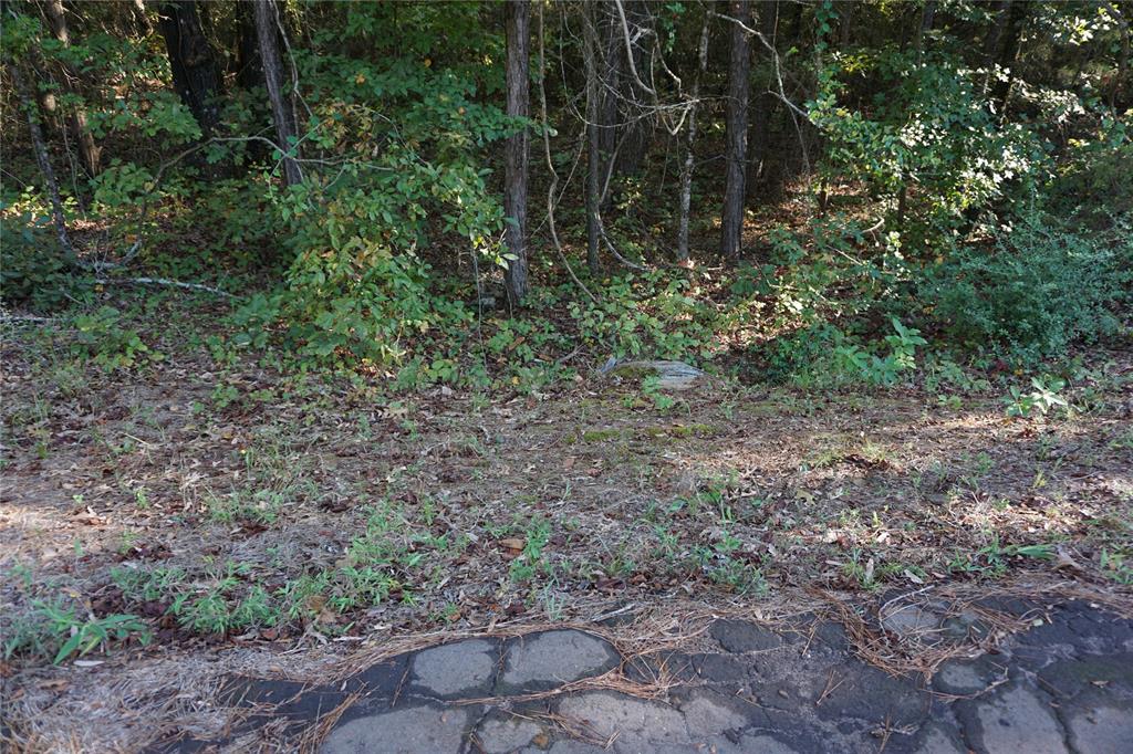 Tbd County Road 3847 Property Photo 10