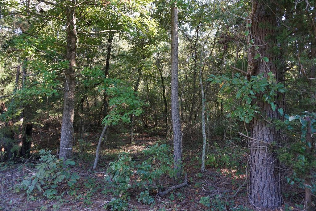 Tbd County Road 3847 Property Photo 11