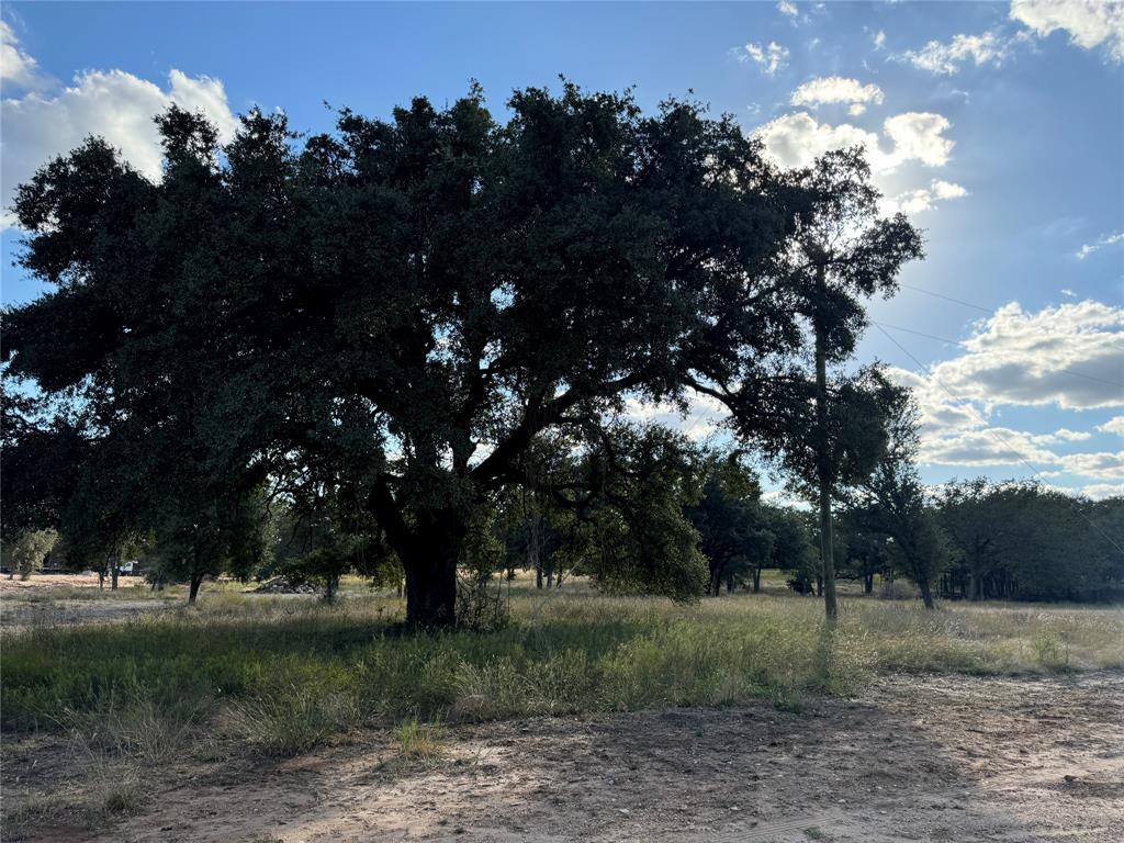312 Old Waco Road Property Photo 1