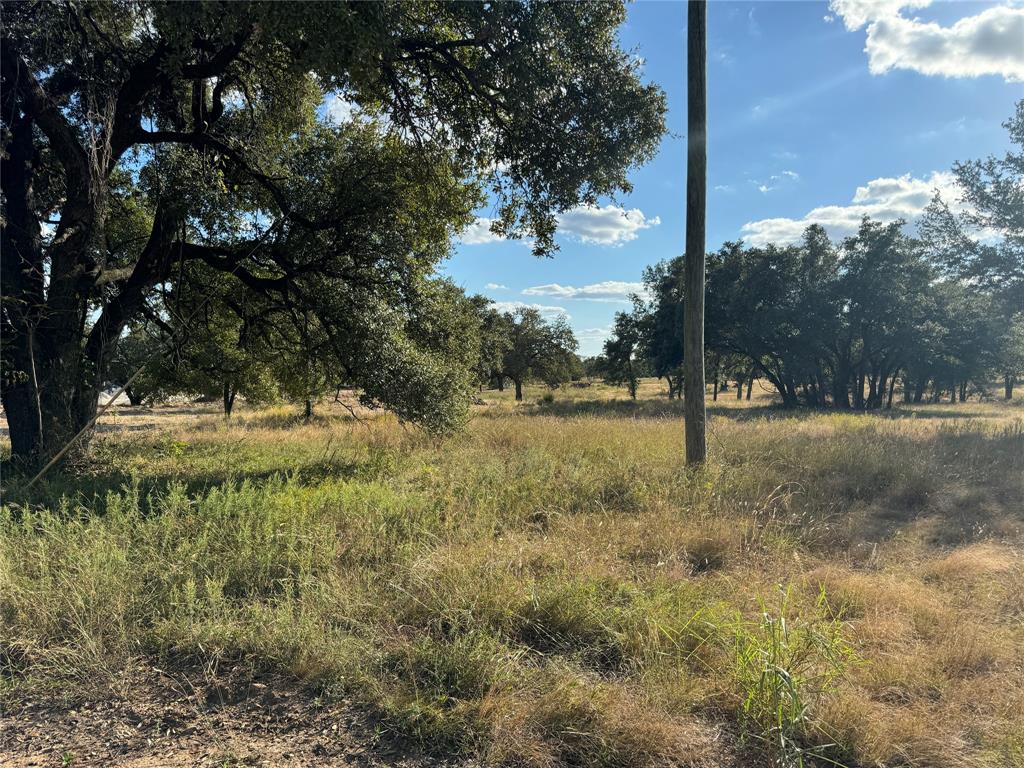 312 Old Waco Road Property Photo 5