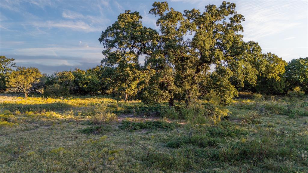Tbd Tract 2 E. Hackley Road Property Photo 3