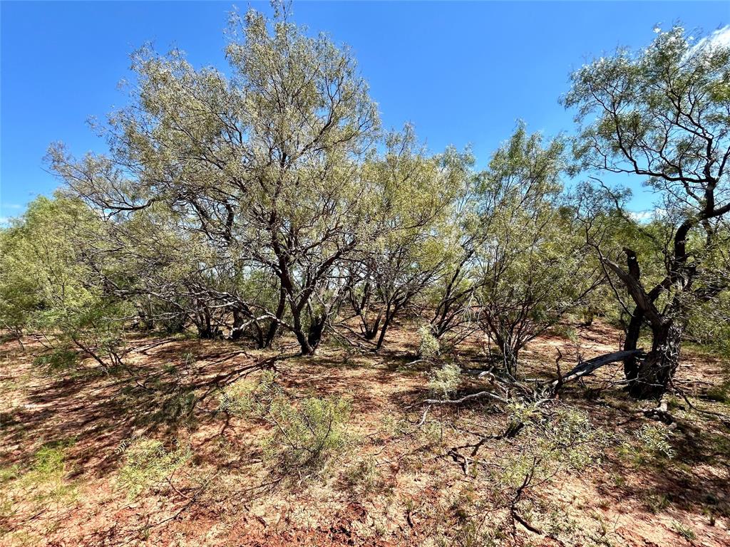 Tbd Cr 176 Property Photo 26