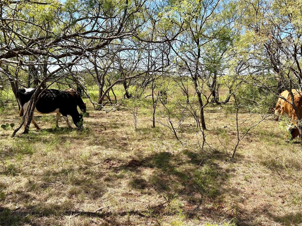 Tbd Cr 176 Property Photo 29