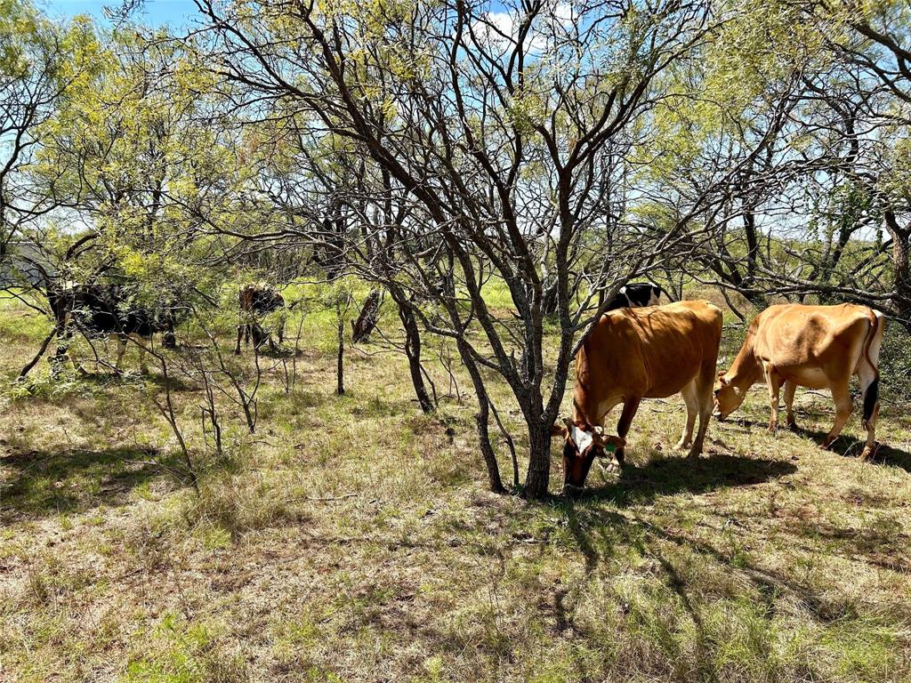 Tbd Cr 176 Property Photo 30