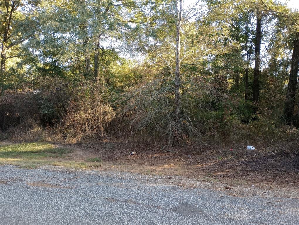 0 White Road Property Photo 2
