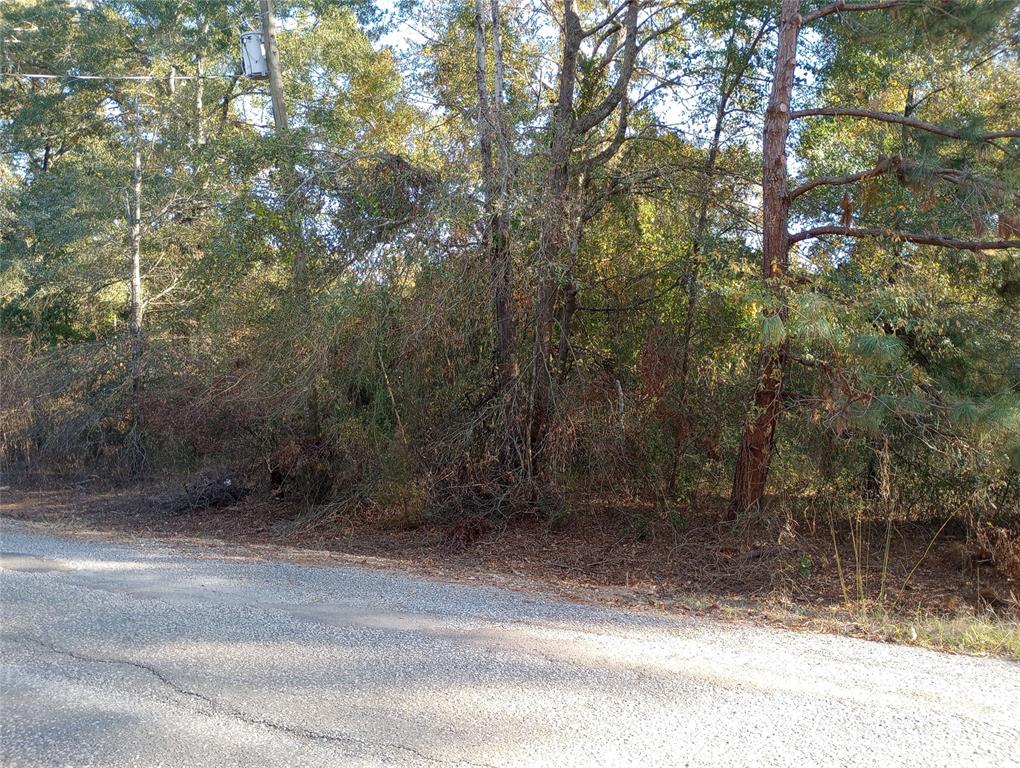 0 White Road Property Photo 3
