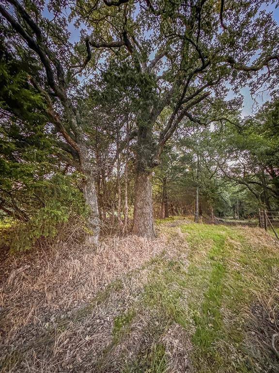 Wagon Seller Road Waggon Seller Road Property Photo 4