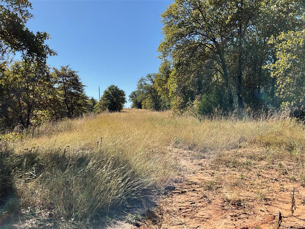 Tbd Cr 2675 Property Photo 24