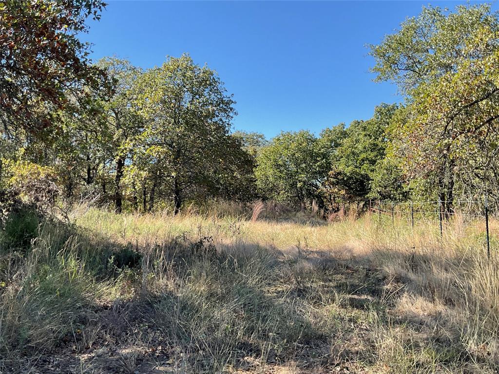 Tbd Cr 2675 Property Photo 25