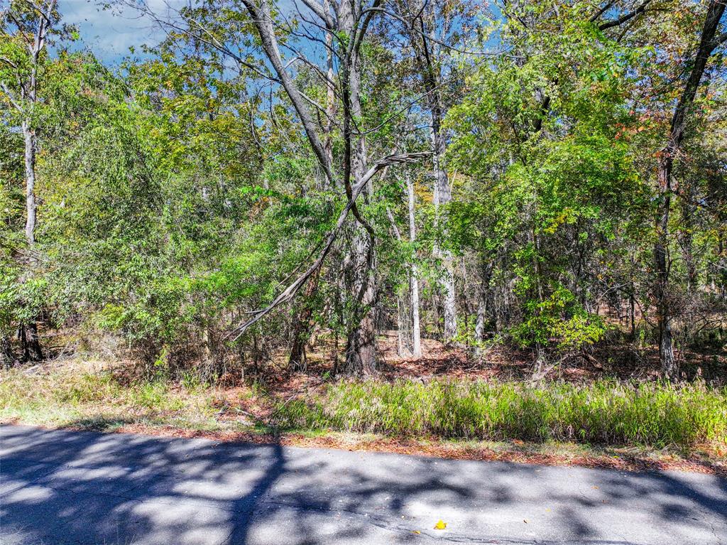 Lot 7 King Sebastion Road Property Photo 1