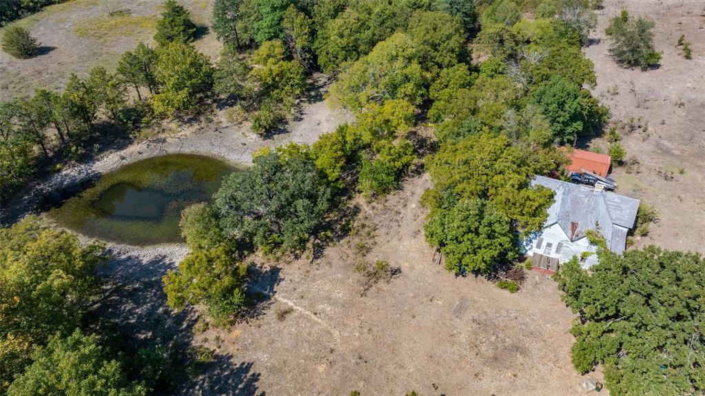 3868 County Road 417 Property Photo 15