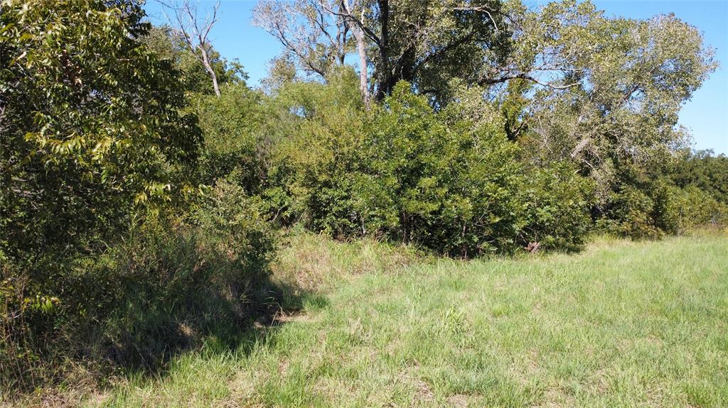 Tbd County Road 226 Property Photo 3