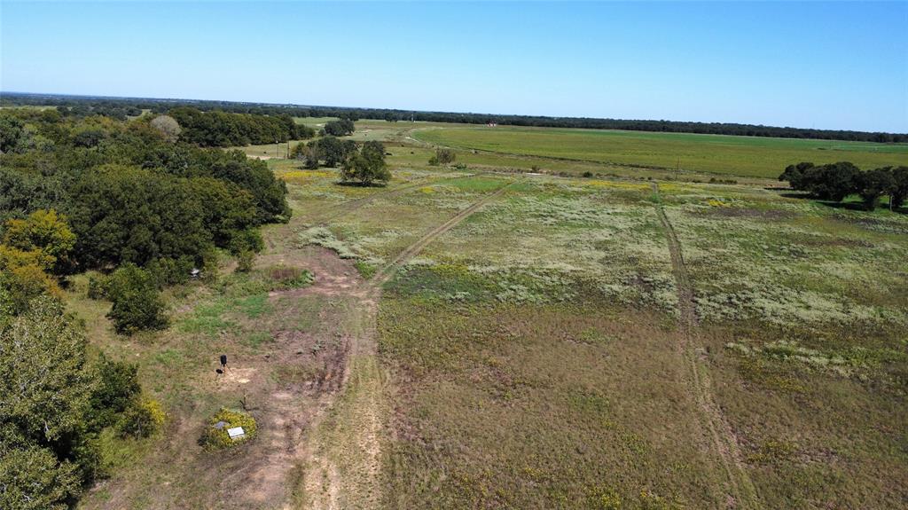 Tbd County Road 226 Property Photo 4