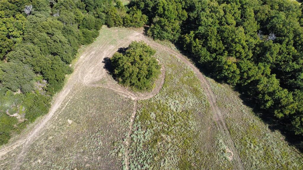 Tbd County Road 226 Property Photo 5