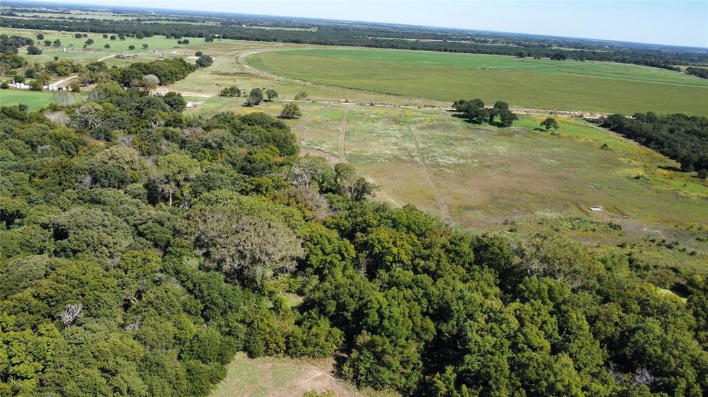Tbd County Road 226 Property Photo 6