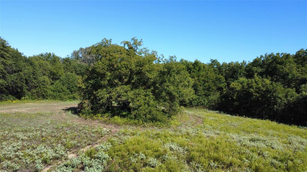 Tbd County Road 226 Property Photo 7