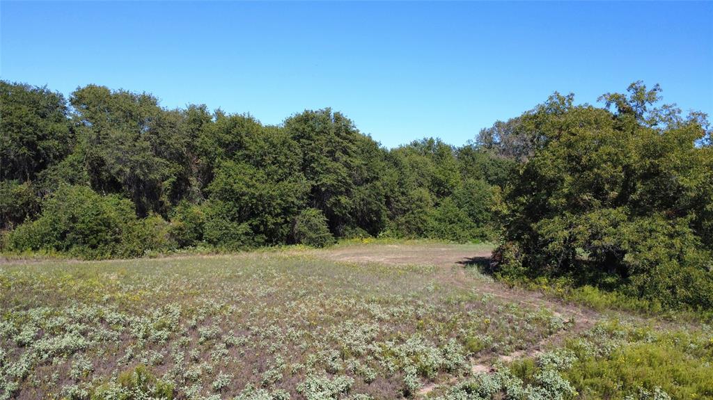 Tbd County Road 226 Property Photo 8