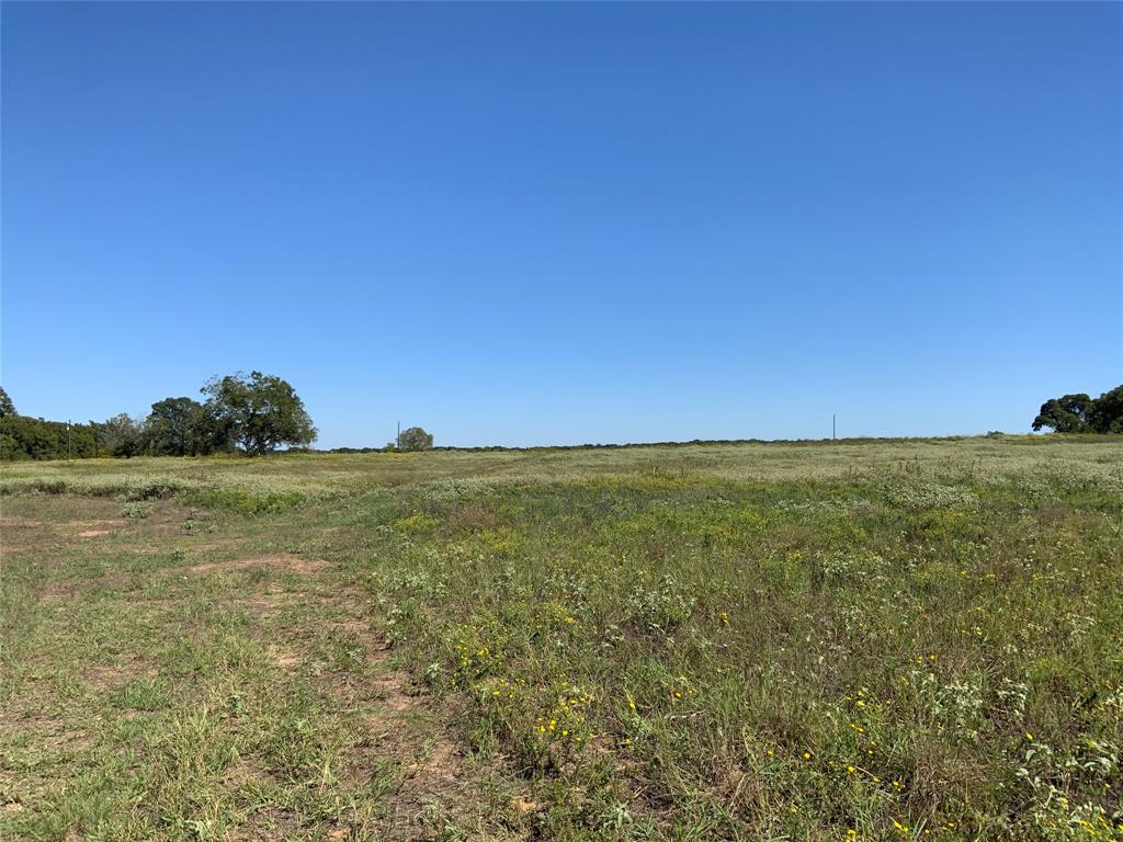 Tbd County Road 226 Property Photo 15