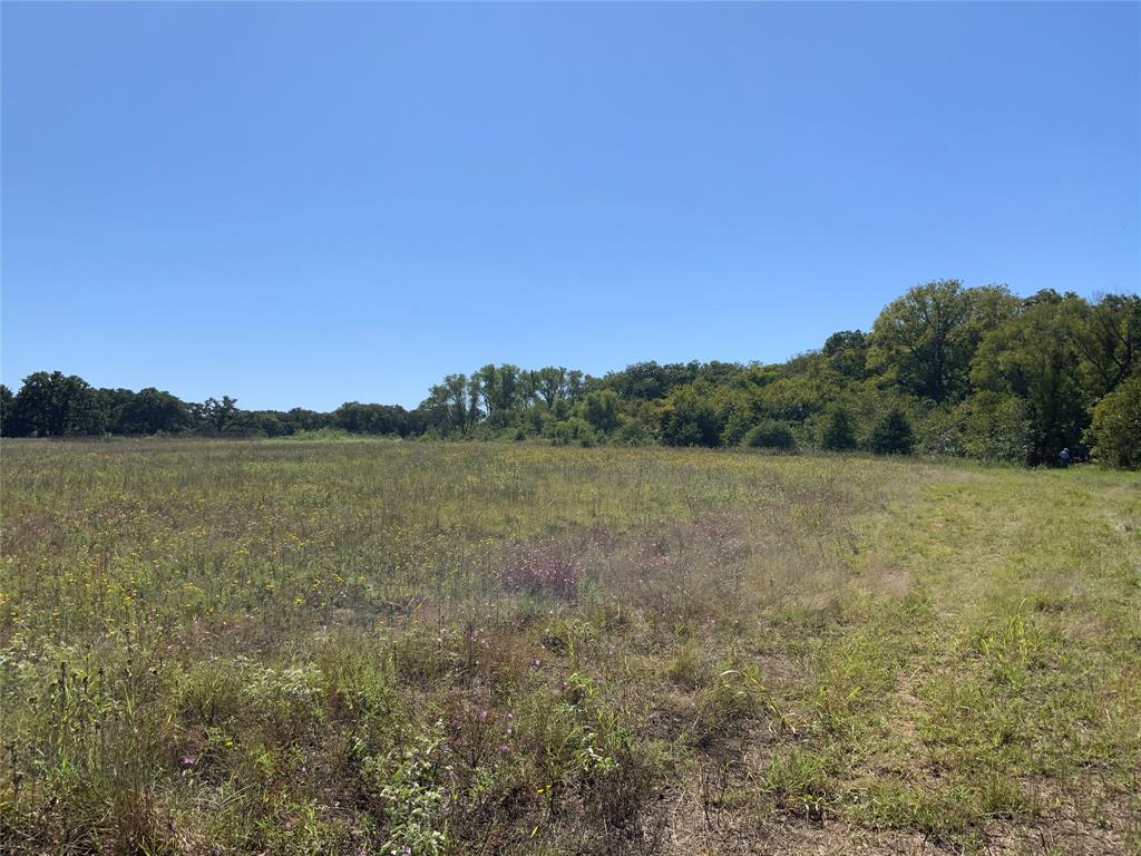 Tbd County Road 226 Property Photo 16