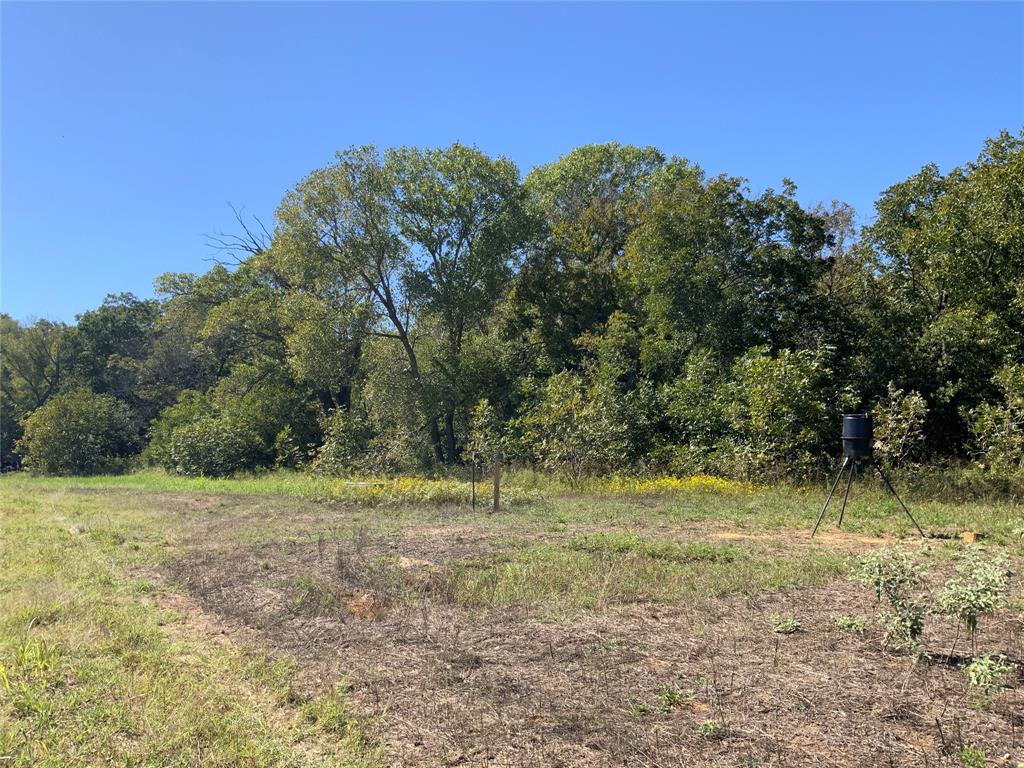 Tbd County Road 226 Property Photo 17