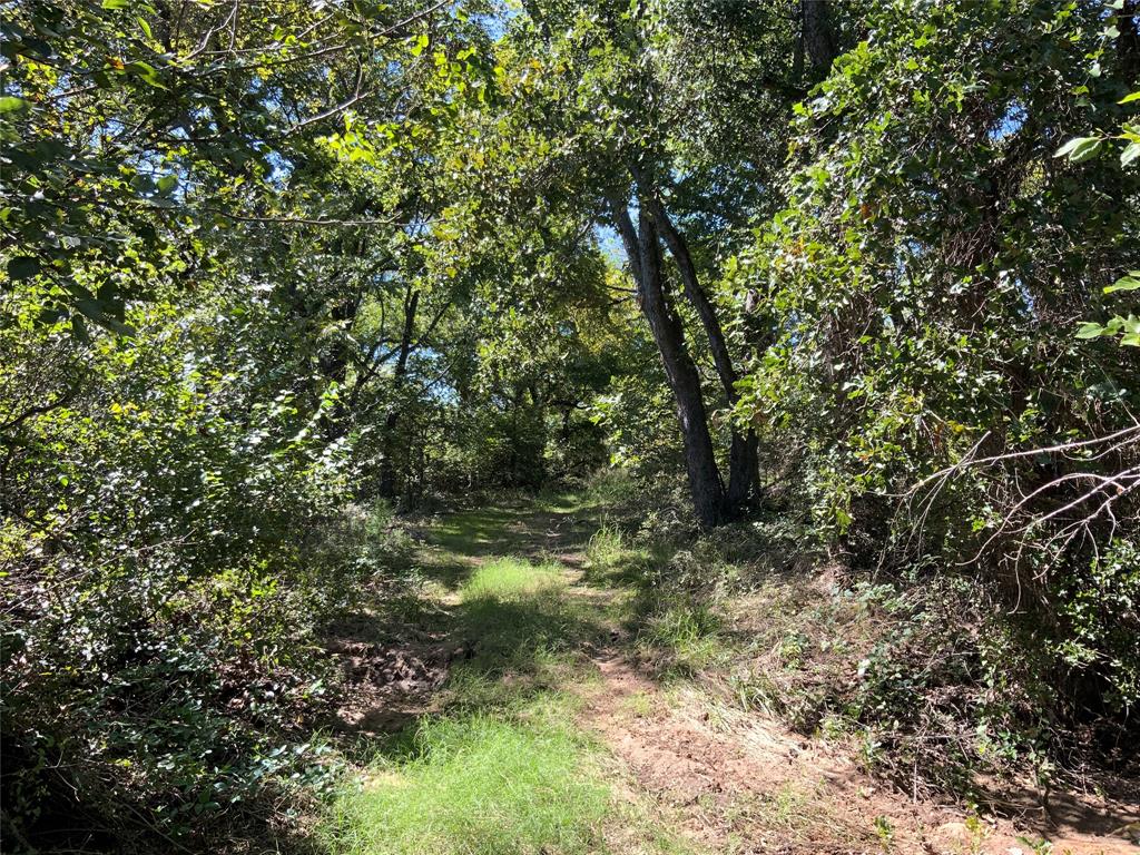 Tbd County Road 226 Property Photo 18