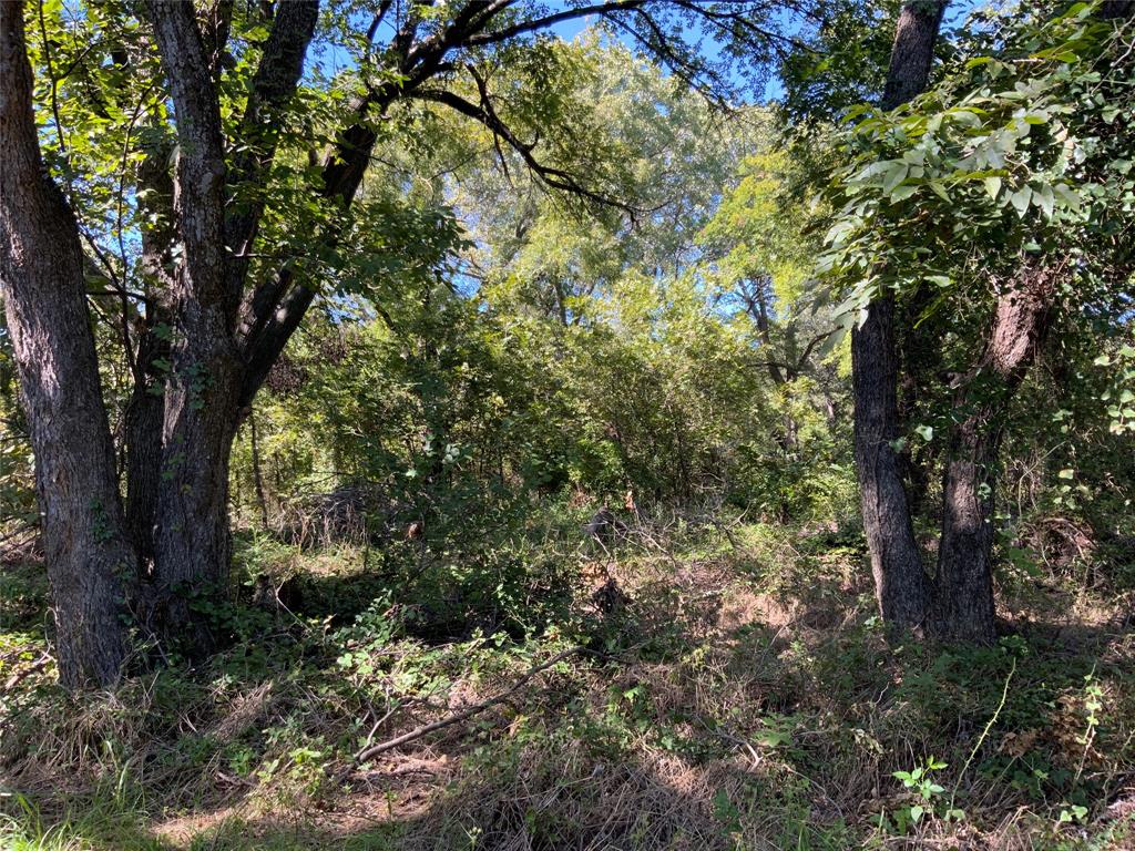 Tbd County Road 226 Property Photo 20