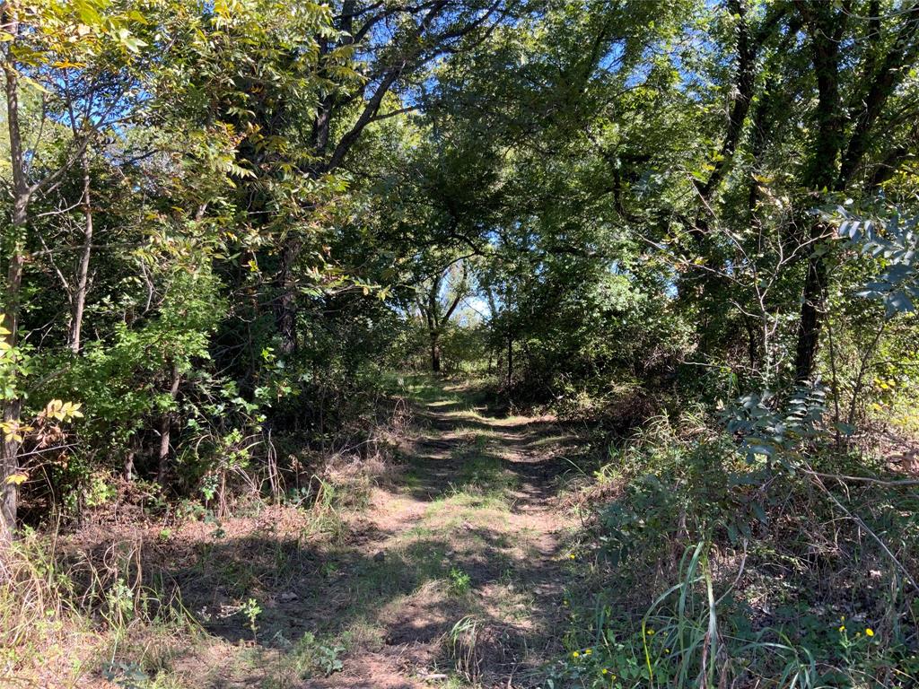 Tbd County Road 226 Property Photo 22