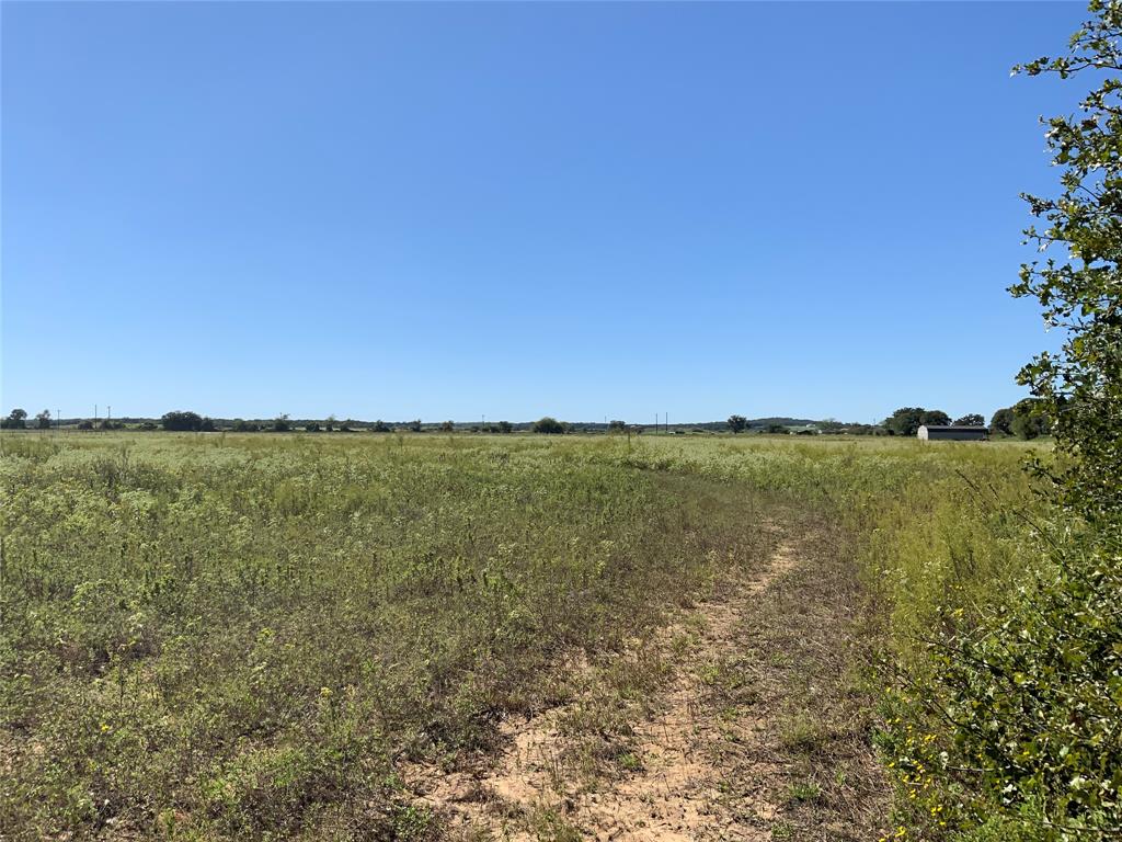 Tbd County Road 226 Property Photo 23